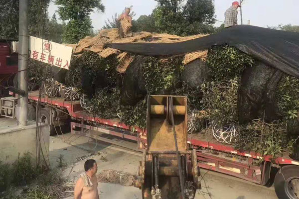 装车 装车
