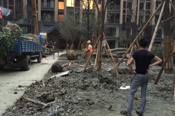 现场技术指导 现场技术指导