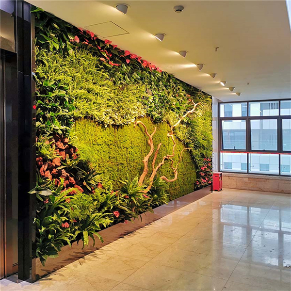 植物墙图片